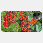 Zwergmilch Case-Mate iPhone Hülle (Rückseite (Horizontal))