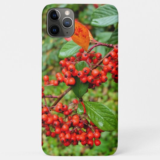 Zwergmilch Case-Mate iPhone Hülle (Rückseite)