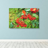 Zwergmilch Leinwanddruck (Insitu (Holzboden))