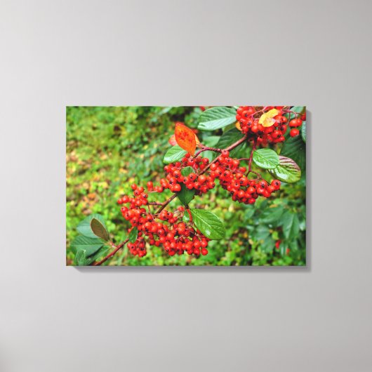 Zwergmilch Leinwanddruck (Vorderseite)