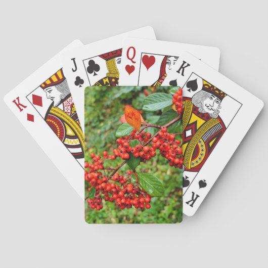 Zwergmilch Spielkarten (Rückseite)