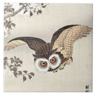 Zwergohreule, Kirschblüten & Mond Japanisch Fliese