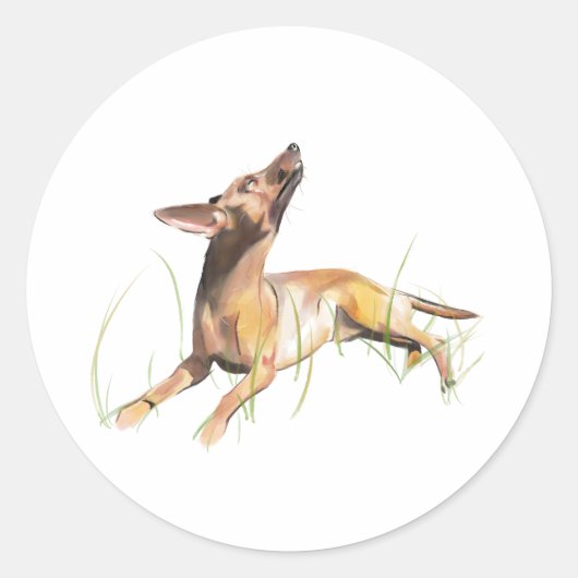 Zwergpinscher Aufkleber Etikett (Vorderseite)