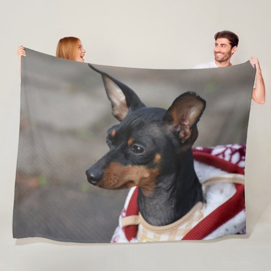 Zwergpinscher Fleecedecke (Beispiel)