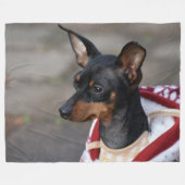 Zwergpinscher Fleecedecke (Vorderseite (Horizontal))