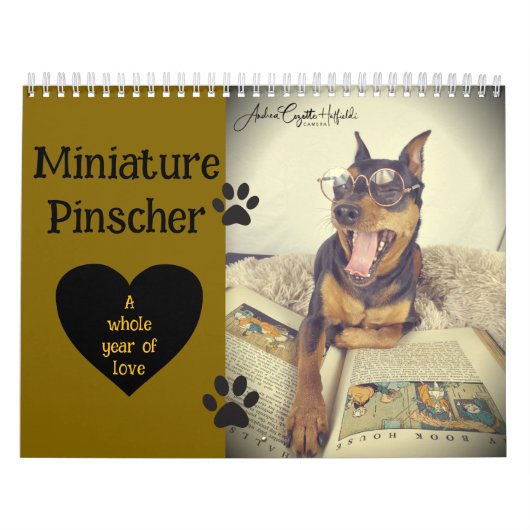 Zwergpinscher-Jahr Kalender (Titelbild)