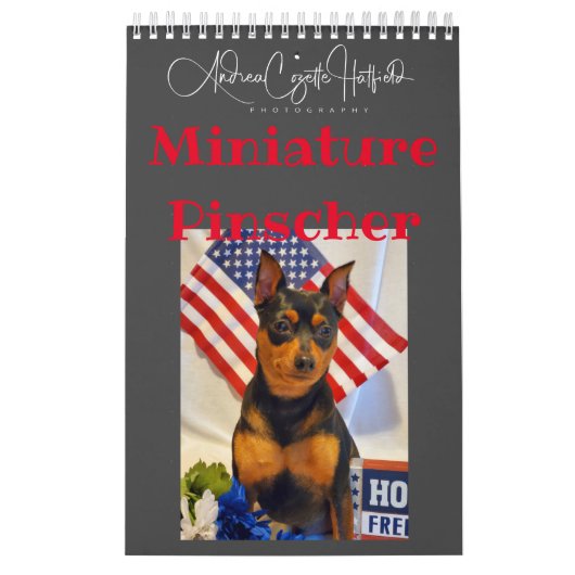 Zwergpinscher kalender (Titelbild)