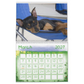 Zwergpinscher! Kalender (Mär 2027)
