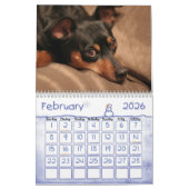 Zwergpinscher! Kalender (Feb 2026)