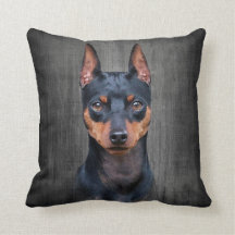 Zwergpinscher