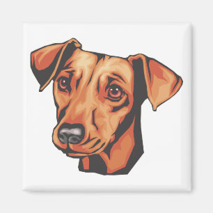 Zwergpinscher Magnet