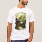 Zwergpinscher (Minute-Button) 2 T-Shirt (Vorderseite)