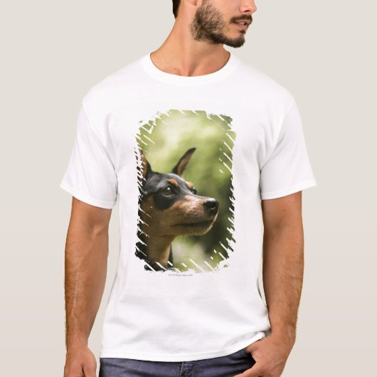 Zwergpinscher (Minute-Button) 2 T-Shirt (Vorderseite)