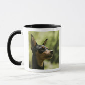 Zwergpinscher (Minute-Button) 2 Tasse (Links)