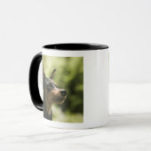 Zwergpinscher (Minute-Button) 2 Tasse (Vorderseite Links)