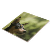 Zwergpinscher (Minute-Button) Fliese (Seite)
