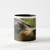 Zwergpinscher (Minute-Button) Zweifarbige Tasse (Mittel)