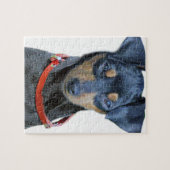 Zwergpinscher-Schwarzes und Brown Puzzle (Horizontal)