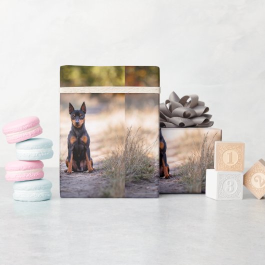 Zwergpinscher sitzend geschenkpapier (Babyparty)