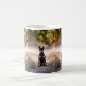 Zwergpinscher sitzend kaffeetasse (Mittel)