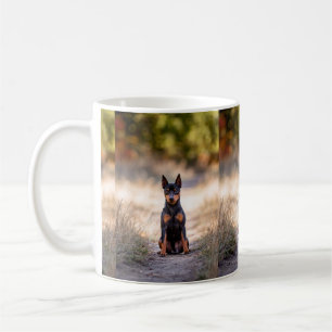 Zwergpinscher sitzend kaffeetasse