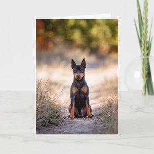 Zwergpinscher sitzend karte
