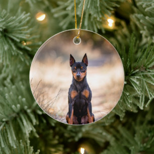 Zwergpinscher sitzend keramik ornament