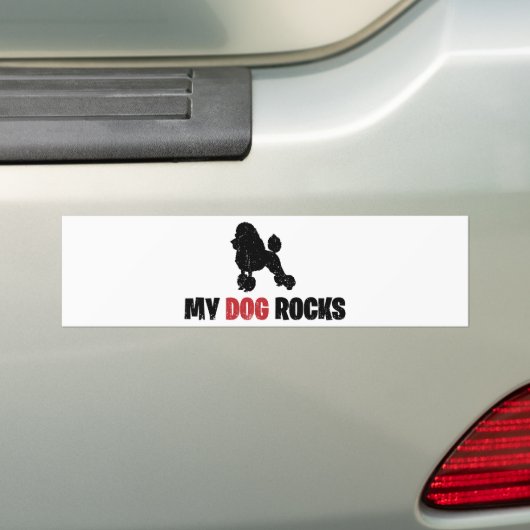 Zwergpudel Autoaufkleber (Auf Auto)