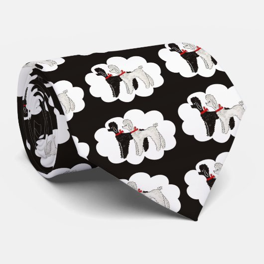 Zwergpudel Krawatte (Gerollt)