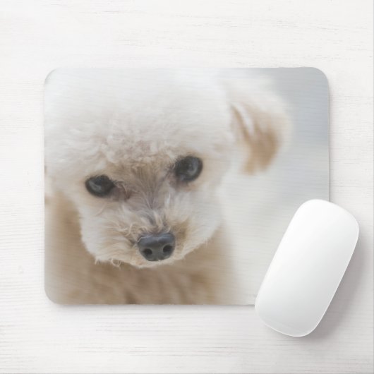 Zwergpudel Mousepad (Mit Mouse)