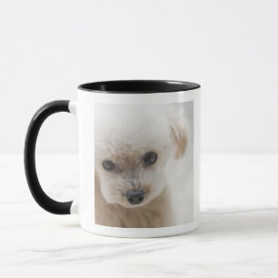 Zwergpudel Tasse