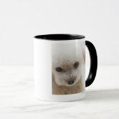 Zwergpudel Tasse (VorderseiteRechts)