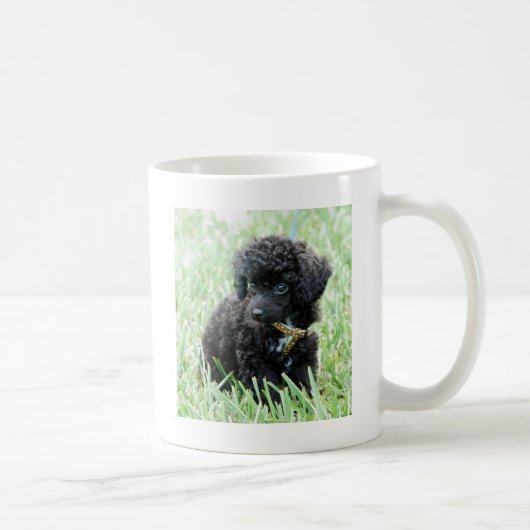 Zwergpudel-Welpe Kaffeetasse (Rechts)