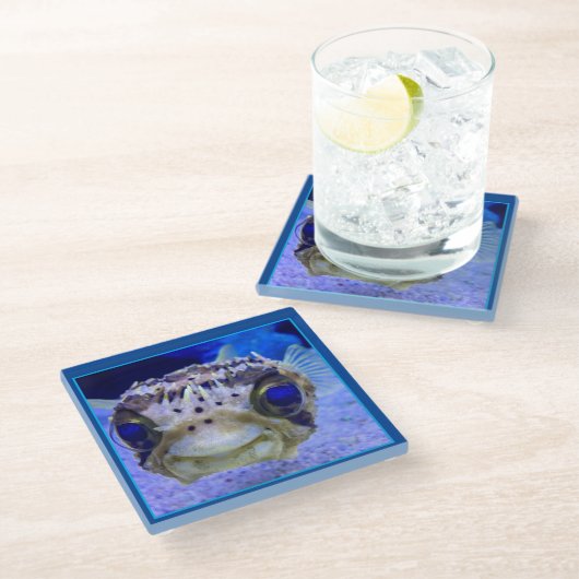 Zwergpuffer Glasuntersetzer (Schrägansicht)