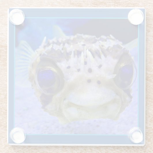 Zwergpuffer Glasuntersetzer (Rückseite)