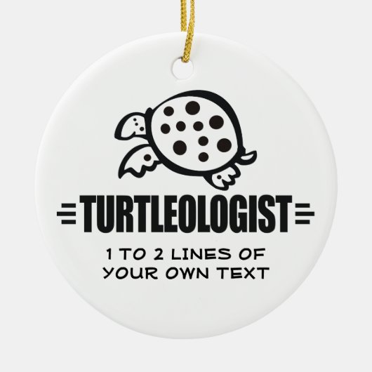 Zwergschildkröte Keramikornament (Vorne)