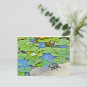 Zwergschildkröte - Serpentina Chelydra Postkarte (Stehend Vorderseite)