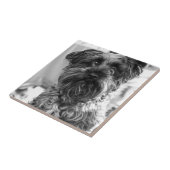 Zwergschnauzer Fliese (Seite)