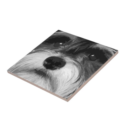 Zwergschnauzer Fliese (Seite)