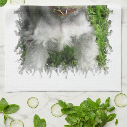 Zwergschnauzer-Geschirrtuch Handtuch (Gefaltet)