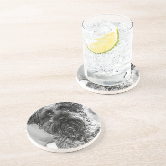 Zwergschnauzer Getränkeuntersetzer (Seite)