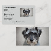 Zwergschnauzer-HundeVisitenkarte Visitenkarte (Vorne/Hinten)