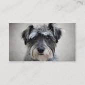Zwergschnauzer-HundeVisitenkarte Visitenkarte (Rückseite)