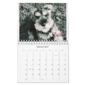 Zwergschnauzer-Kalender 2016 Kalender (Jan 2027)