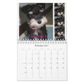 Zwergschnauzer-Kalender 2016 Kalender (Feb 2027)