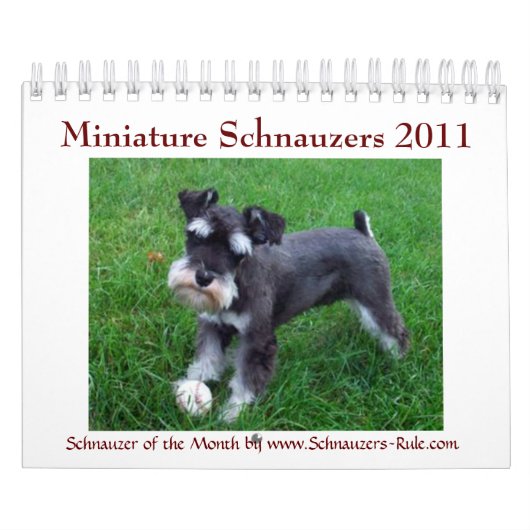 Zwergschnauzer-Kalender 2016 Kalender (Titelbild)