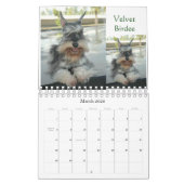 Zwergschnauzer-Kalender 2016 Kalender (Mär 2026)