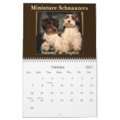 Zwergschnauzer-Kalender Kalender (Feb 2027)