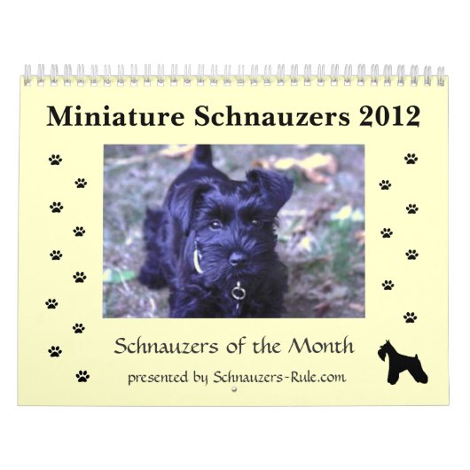 Zwergschnauzer-Kalender Kalender (Titelbild)