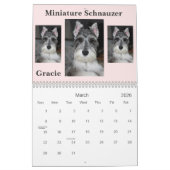Zwergschnauzer-Kalender Kalender (Mär 2026)
